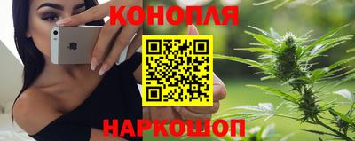 крисы Жуковский