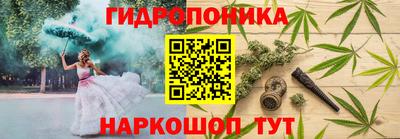 крисы Жуковский