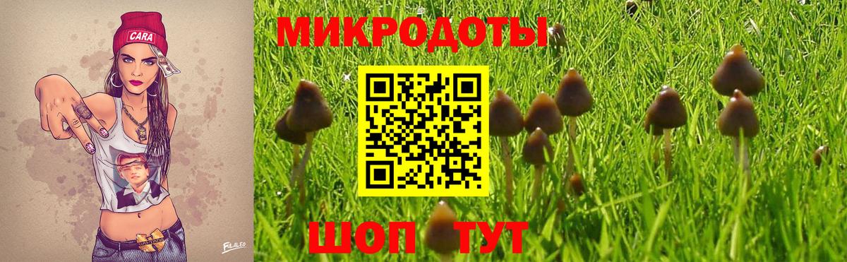 Канск  Галлюциногенные грибы прущие грибы  Галлюциногенные грибы Psilocybine cubensis  Вход с VPN 